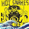 Album artwork for Suicide Invoice by Hot Snakes