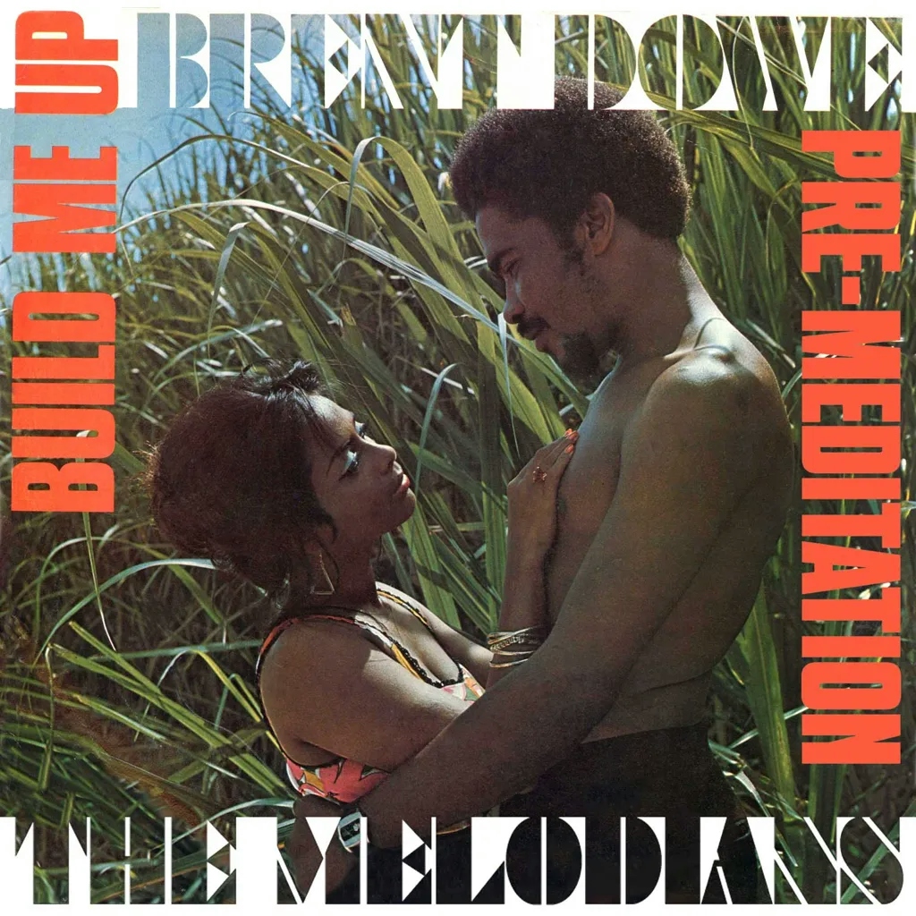 Album artwork for Build Me Up and Pre-Meditation by Brent Downe and the Melodians