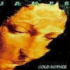 Album artwork for Gold Mother by James
