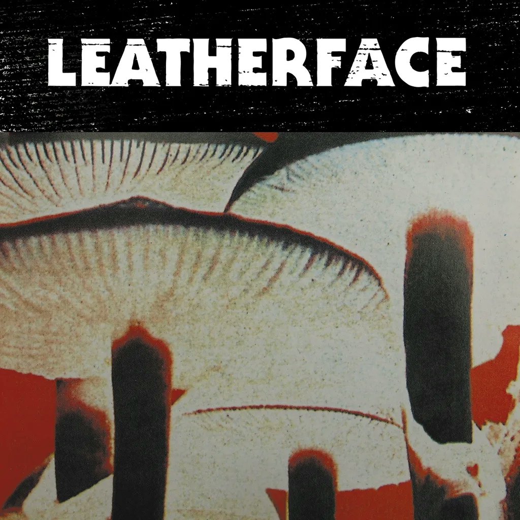 Album artwork for Mush by Leatherface