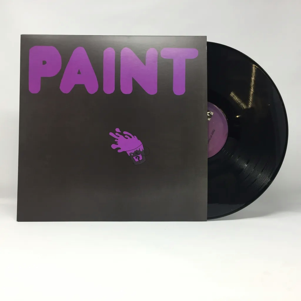 Album artwork for PAINT by Paint