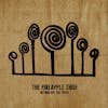 Album artwork for Nothing But The Truth by The Pineapple Thief