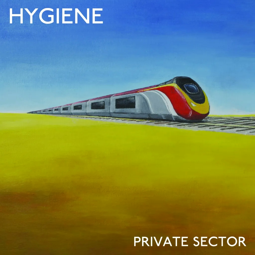 Album artwork for Private Sector by Hygiene
