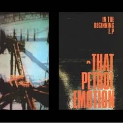Album artwork for In The Beginning by That Petrol Emotion