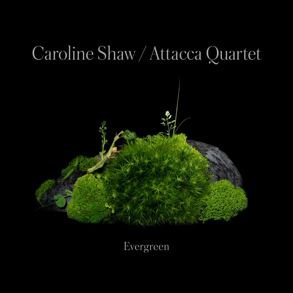 Album artwork for Evergreen by Caroline Shaw and Attacca Quartet