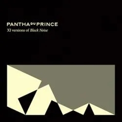 Album artwork for XI Versions Of Black Noise by Pantha Du Prince