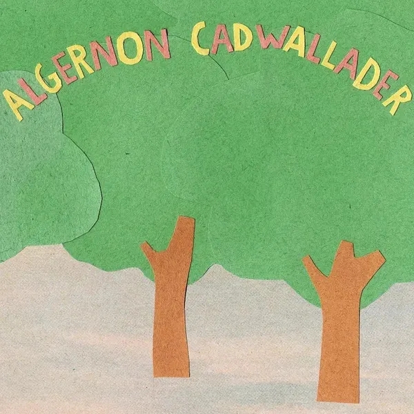 Album artwork for Some Kind Of Cadwallader by Algernon Cadwallader