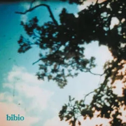 Album artwork for Album artwork for Fi by Bibio by Fi - Bibio
