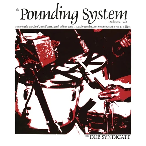 Album artwork for The Pounding System by Dub Syndicate