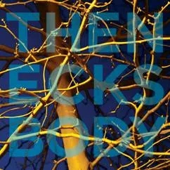 Album artwork for Body by The Necks