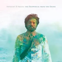 Album artwork for The Shipwreck From The Shore by Anthony D'amato