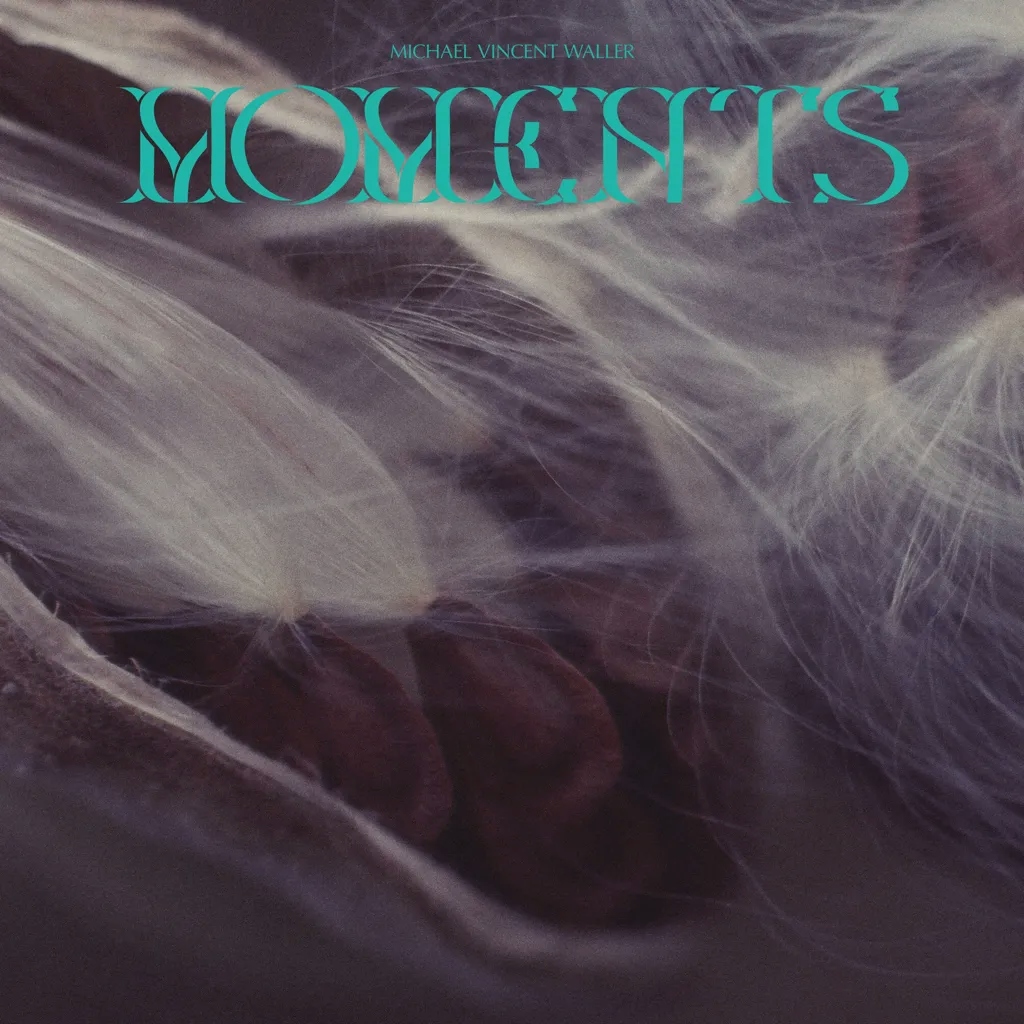 Album artwork for Moments by Michael Vincent Waller