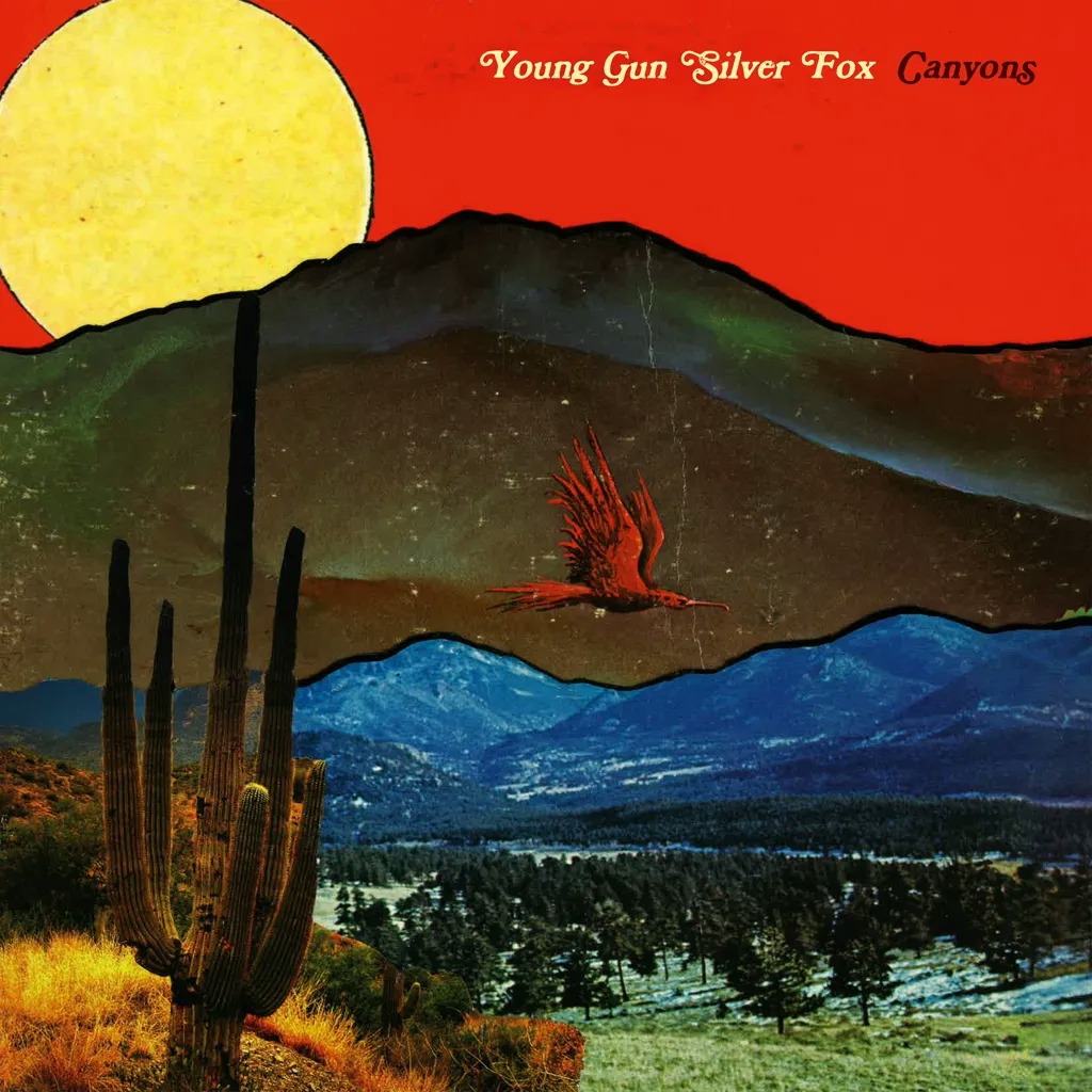 Album artwork for Canyons by Young Gun Silver Fox