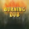 Album artwork for Burning Dub by Revolutionaries