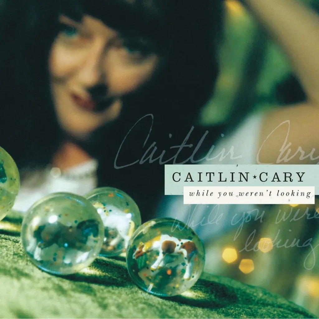 Album artwork for While You Weren't Looking - 20th Anniversary Edition by Caitlin Cary