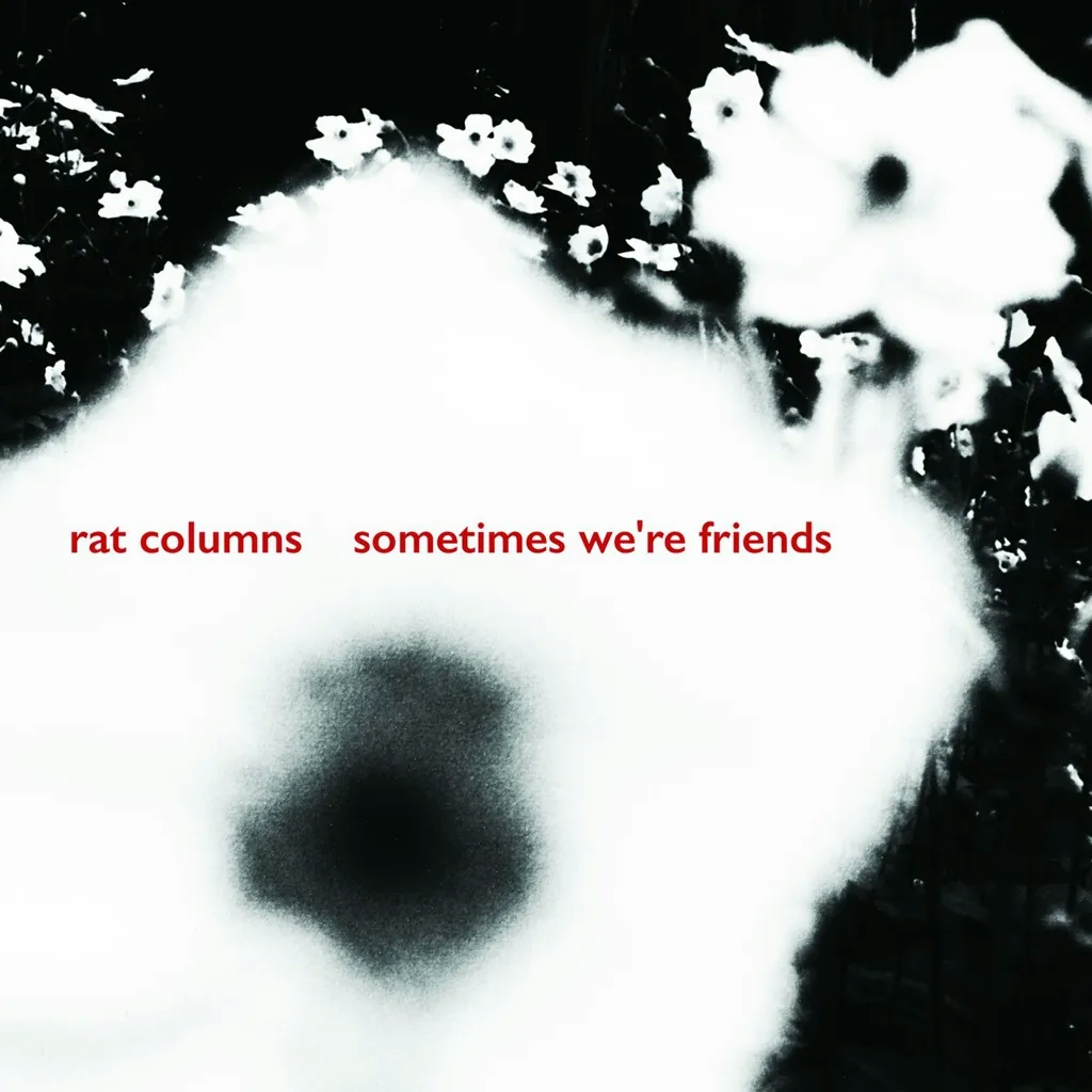Album artwork for Sometimes We're Friends by Rat Columns
