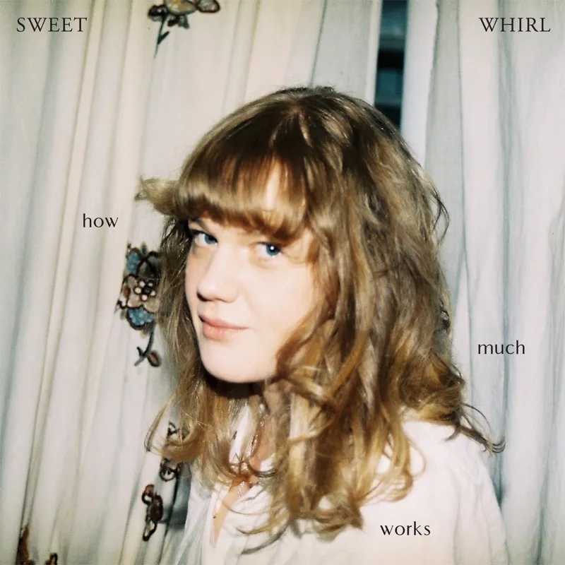 Album artwork for How Much Works by Sweet Whirl