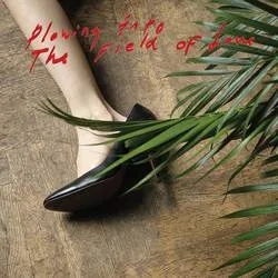 Album artwork for Plowing Into The Field of Love by Iceage