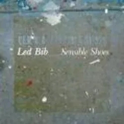 Album artwork for Sensible Shoes by Led Bib