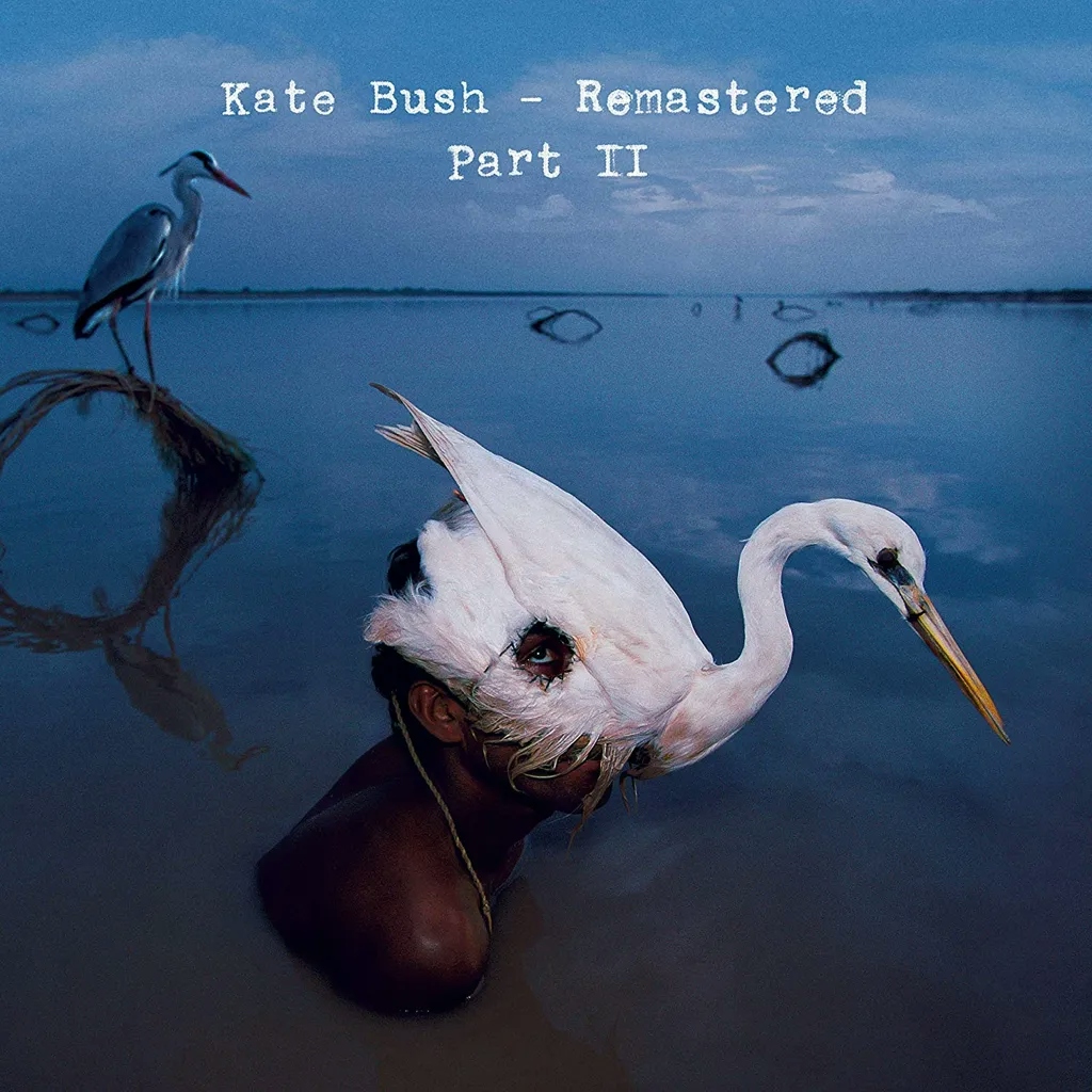Album artwork for Remastered Part 2 (Aerial, Director's Cut, 50 Words for Snow, Before the Dawn (Original Mastering), 12" Mixes, The Other Side 1, The Other Side 2 and In Others' Words) by Kate Bush