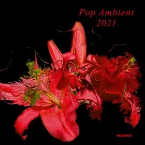 Album artwork for Pop Ambient 2021 by Various Artists