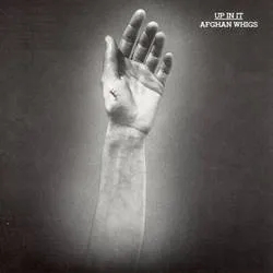 Album artwork for Up In It by The Afghan Whigs