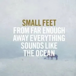 Album artwork for From Far Enough Away Everything Sounds Like The Ocean by Small Feet
