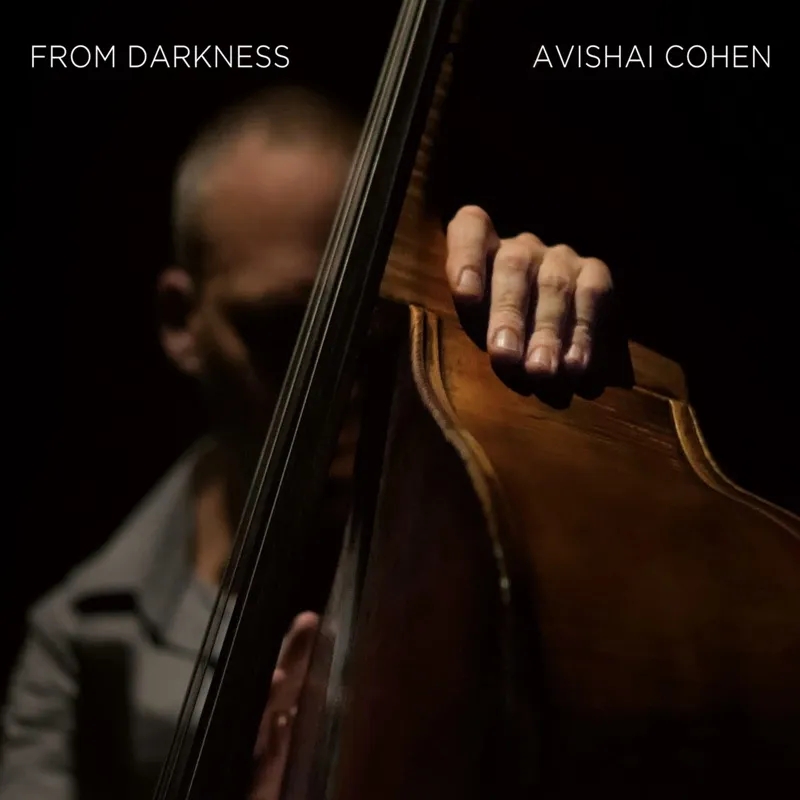 Album artwork for From Darkness by Avishai Cohen