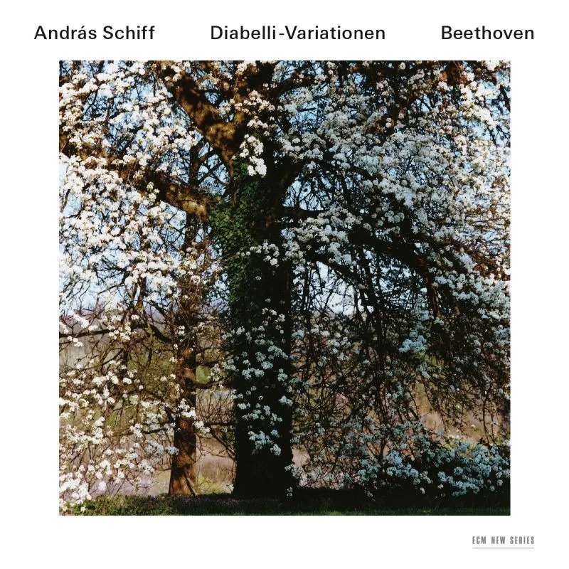 Album artwork for Beethoven: Diabelli-Variationen by Andras Schiff