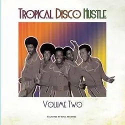 Album artwork for Tropical Disco Hustle Volume 2 by Various