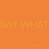 Album artwork for Say What by Say What