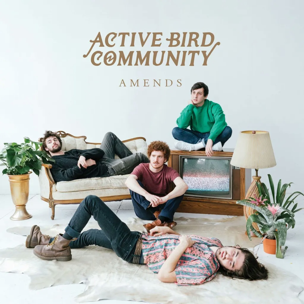 Album artwork for Amends by Active Bird Community