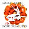 Album artwork for More Great Hits by Family Fodder