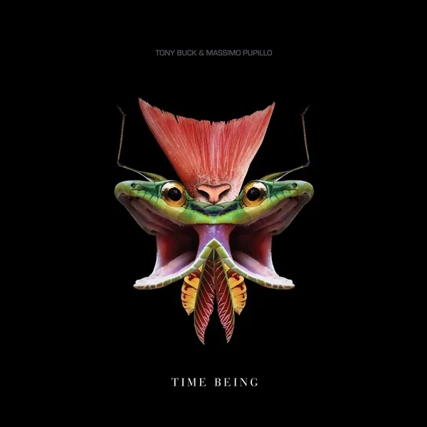 Album artwork for Time Being by Tony Buck and Massimo Pupillo