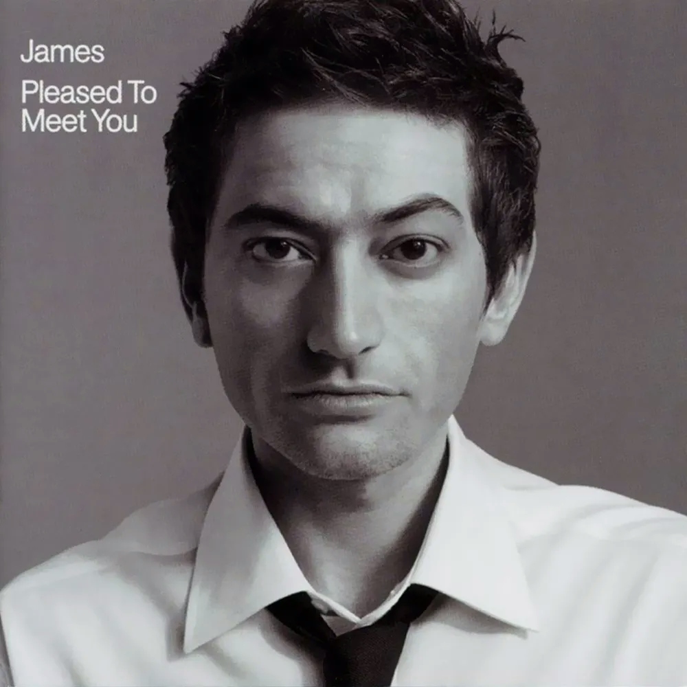 Album artwork for Pleased To Meet You by James