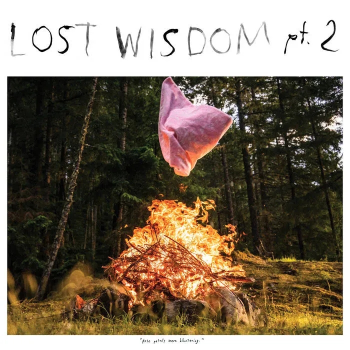 Album artwork for Lost Wisdom Pt. 2 by Mount Eerie