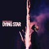 Album artwork for Dying Star by Ruston Kelly