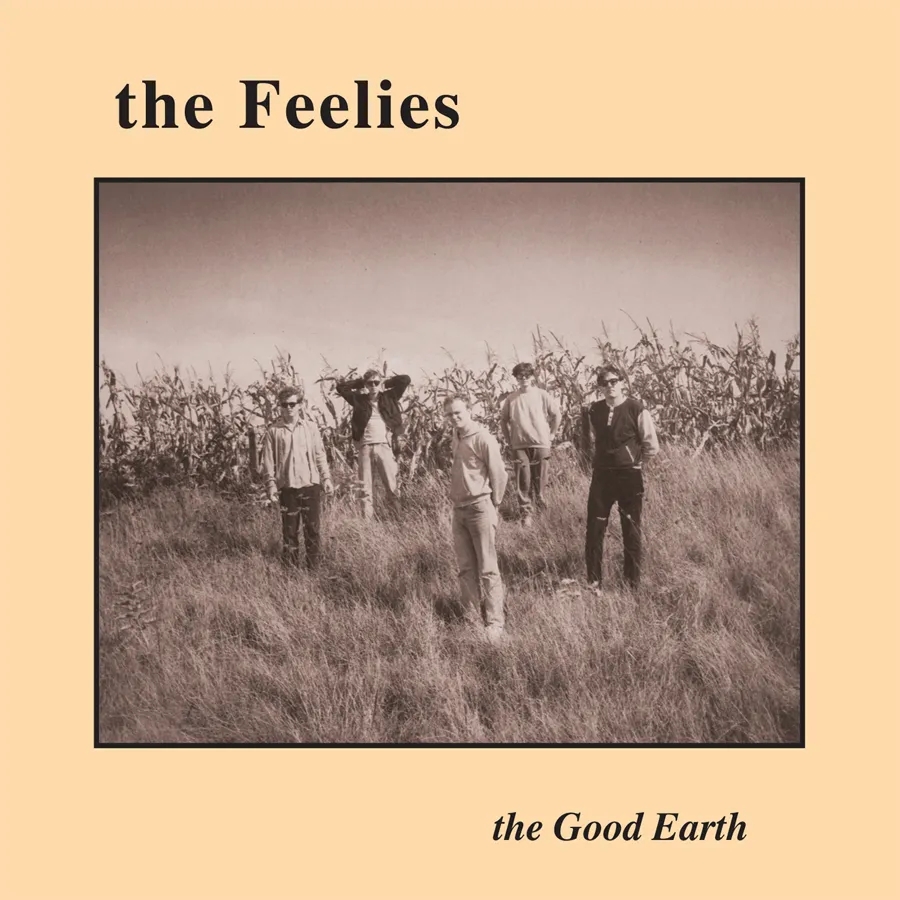Album artwork for The Good Earth by The Feelies