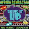 Album artwork for Bring It Up by Afrika Bambaataa