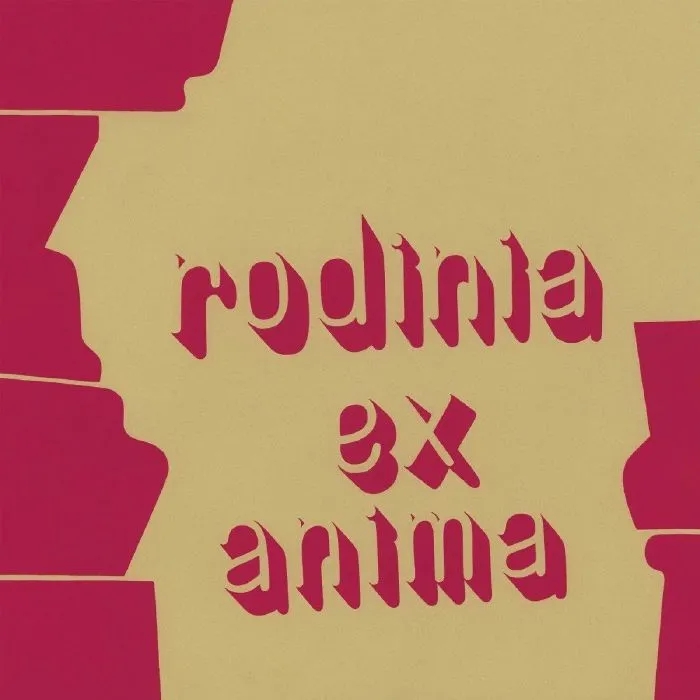 Album artwork for Ex Anima by Rodinia