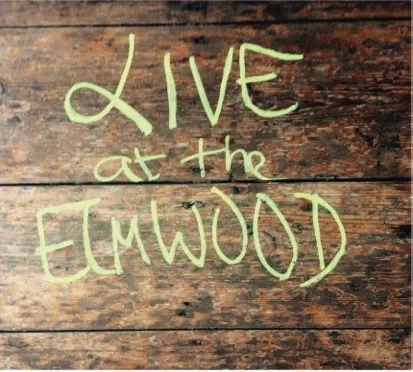 Album artwork for Live At The Elmwood by Laura Matthews 