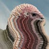 Album artwork for Bird Brains by Holy Fuck