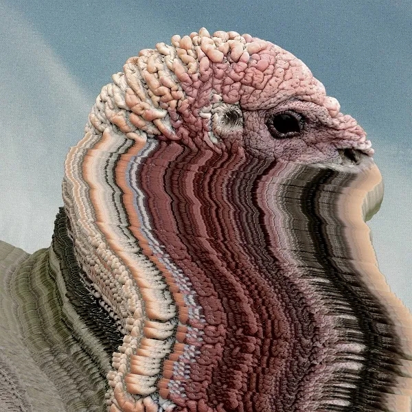 Album artwork for Album artwork for Bird Brains by Holy Fuck by Bird Brains - Holy Fuck