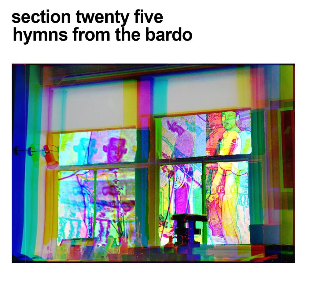 Album artwork for Hymns From The Bardo by Section 25