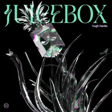 Album artwork for Juicebox by Hugh Hardie