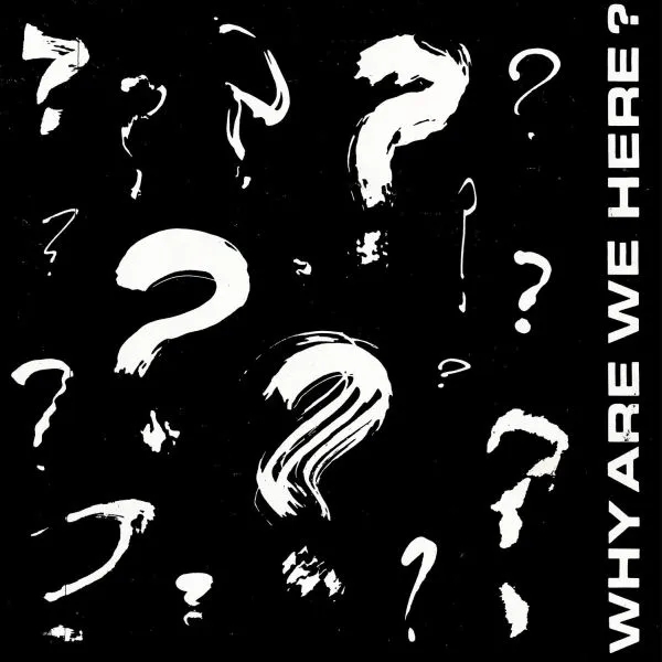 Album artwork for Why Are We Here? by Various Artists