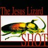 Album artwork for Shot by The Jesus Lizard