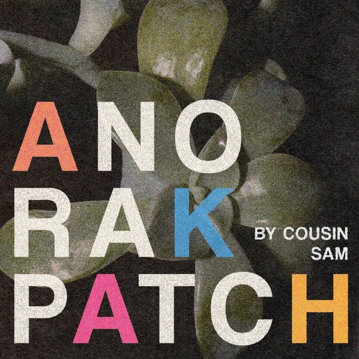 Album artwork for By Cousin Sam by Anorak Patch