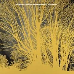 Album artwork for The Stars Are Indifferent To Astronomy by Nada Surf