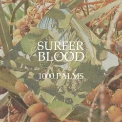 Album artwork for 1000 Palms by Surfer Blood
